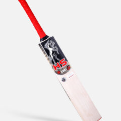 HS CORE5 BAT 2