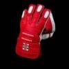 GRAY NICOLLS WICKET KEEPING GLOVES LIMITED EDITION 2