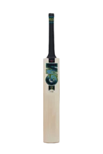 GM AION DXM 909  BAT